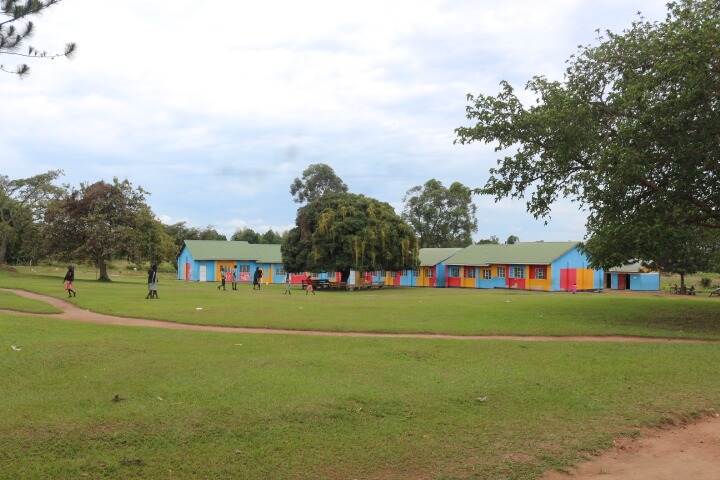 Staff with children