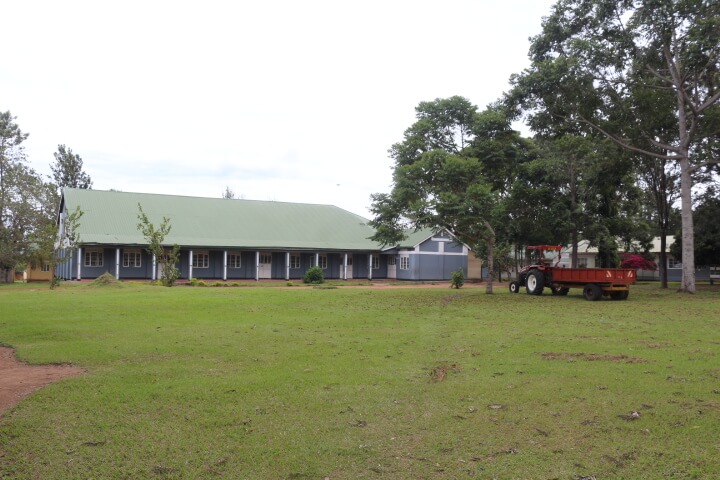 Staff with children